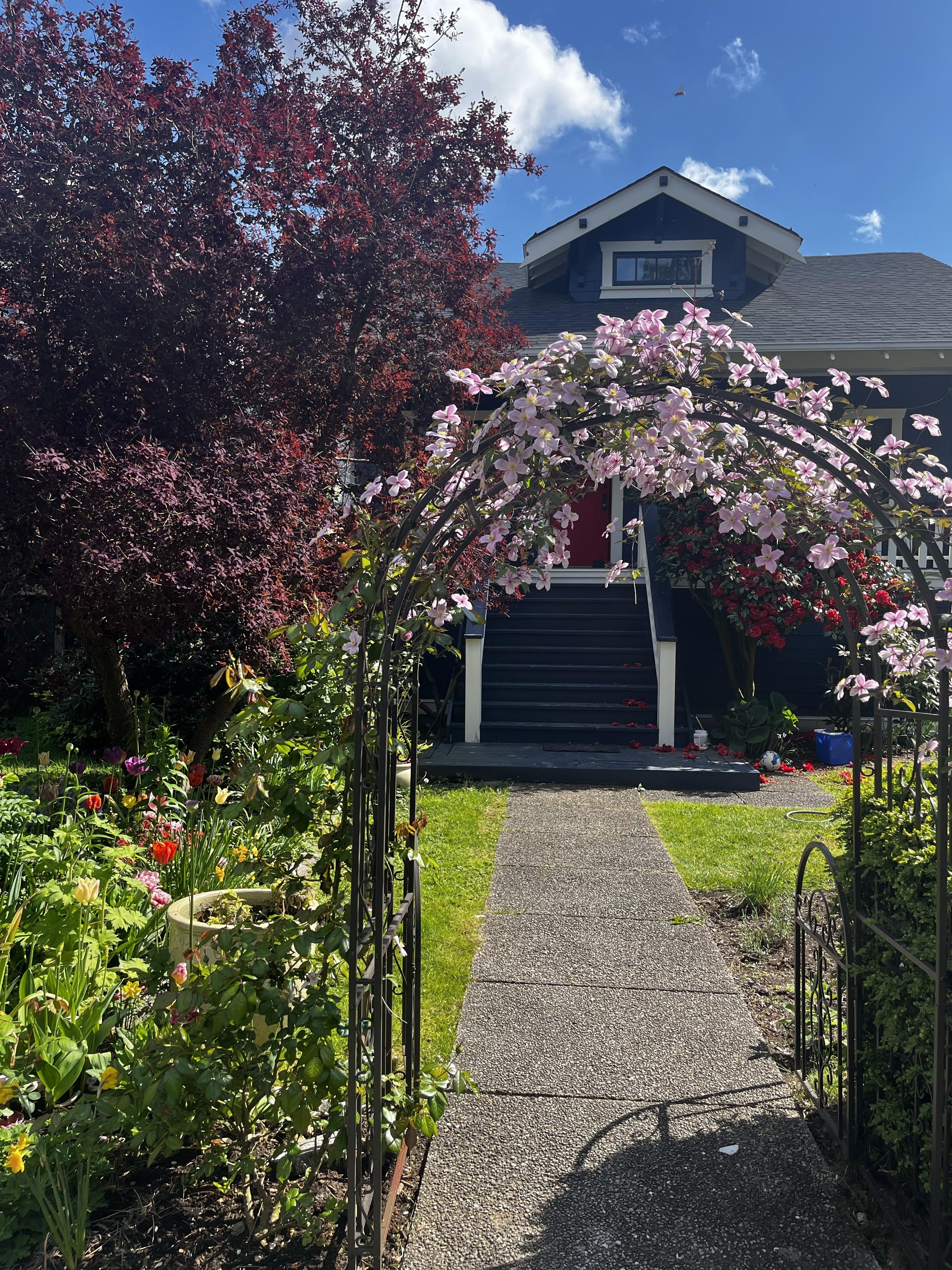 West 37th Avenue, Vancouver, BC - Basement for rent