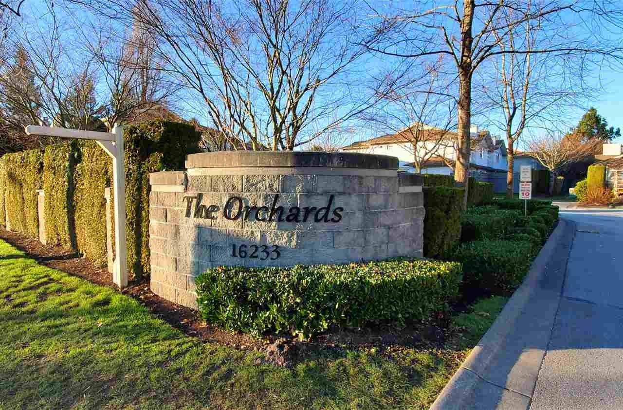 16233 82 Avenue, Surrey, BC - Town House for rent