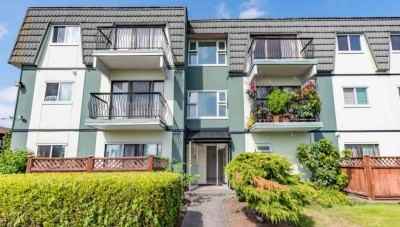 8151 Ryan Road, Richmond, BC - Condo for rent
