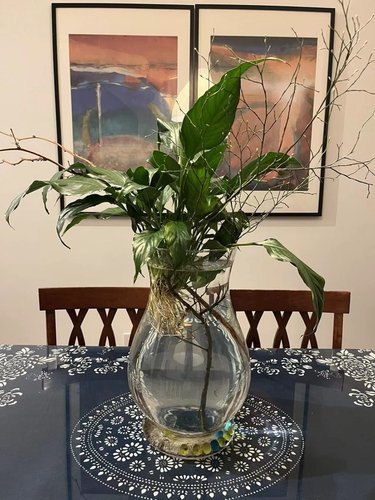 9735 University Crescent, Burnaby, BC - Room for rent