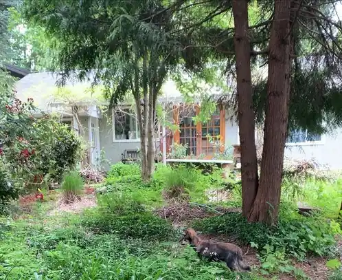 21425 126 Avenue, Maple Ridge, BC - House for rent
