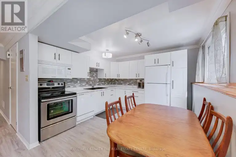 LOWER - 64 MCCONKEY PLACE