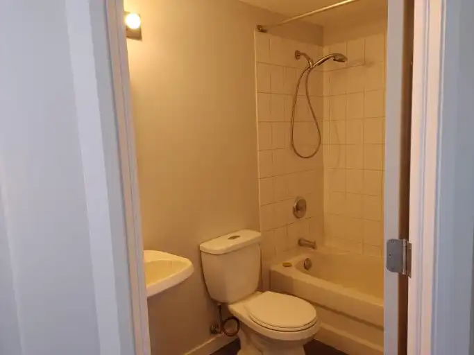 Mississaga W 104