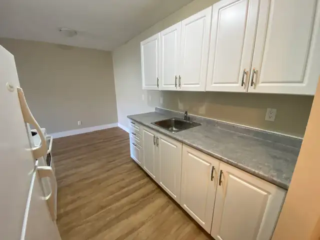 1 Bedroom 1 Bath - A/C INCLUDED starting at $1295 | Long Term Rentals | Kamloops | Free local classifieds - Kijiji