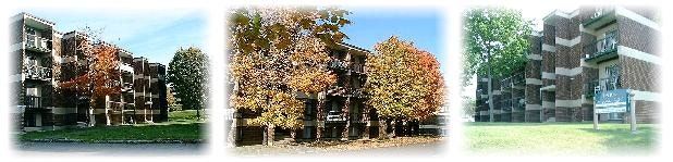 GRAND 51/2 | Long Term Rentals | Québec City | Free local classifieds - Kijiji