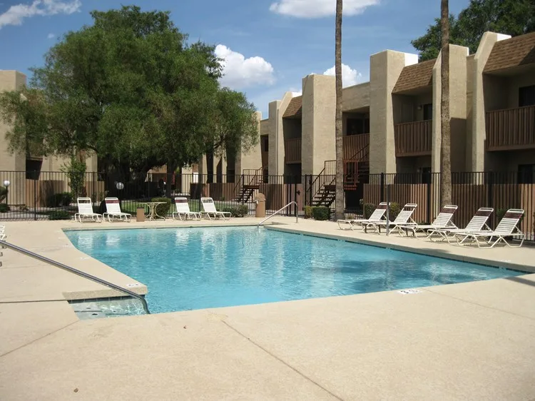 Desert Meadows
