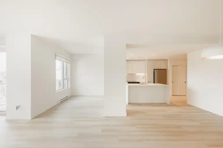 Monarc Collection