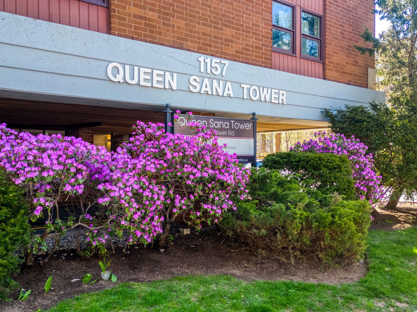 Welcome to Queen Sana Tower!