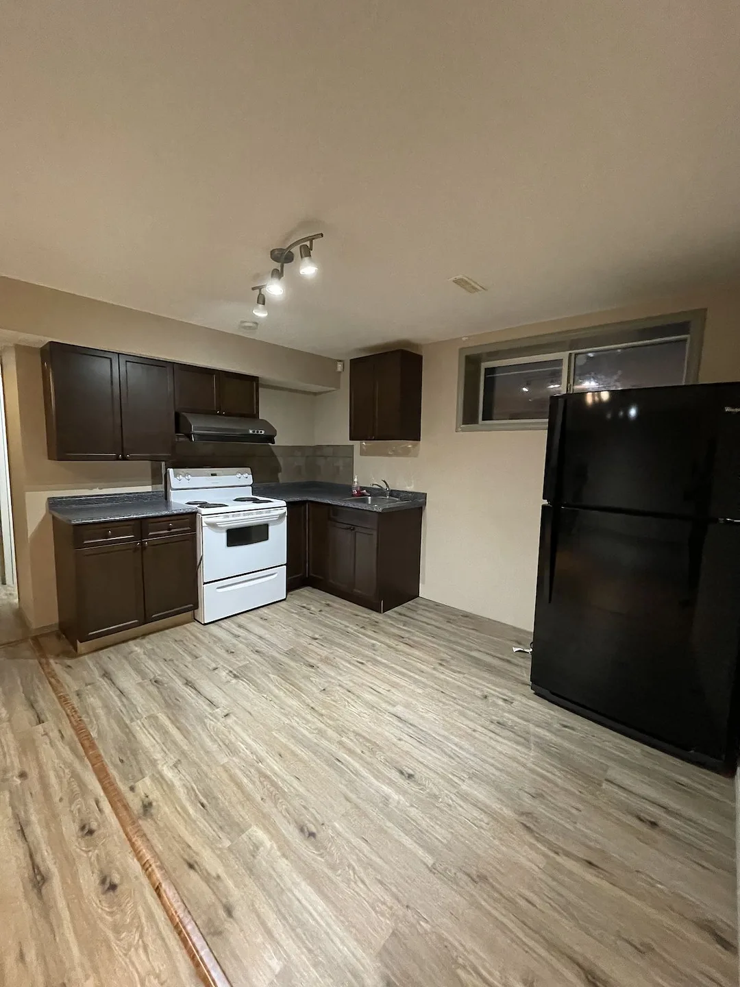 All Utilities and Internet Included - Private Chestermere 2 Bed 1 Bath Basement