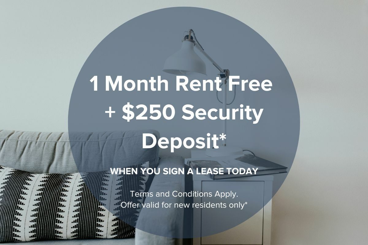 Mayfair Place Apartments