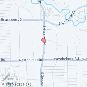 2206 S Gessner Rd, Houston, TX 77063, USA
