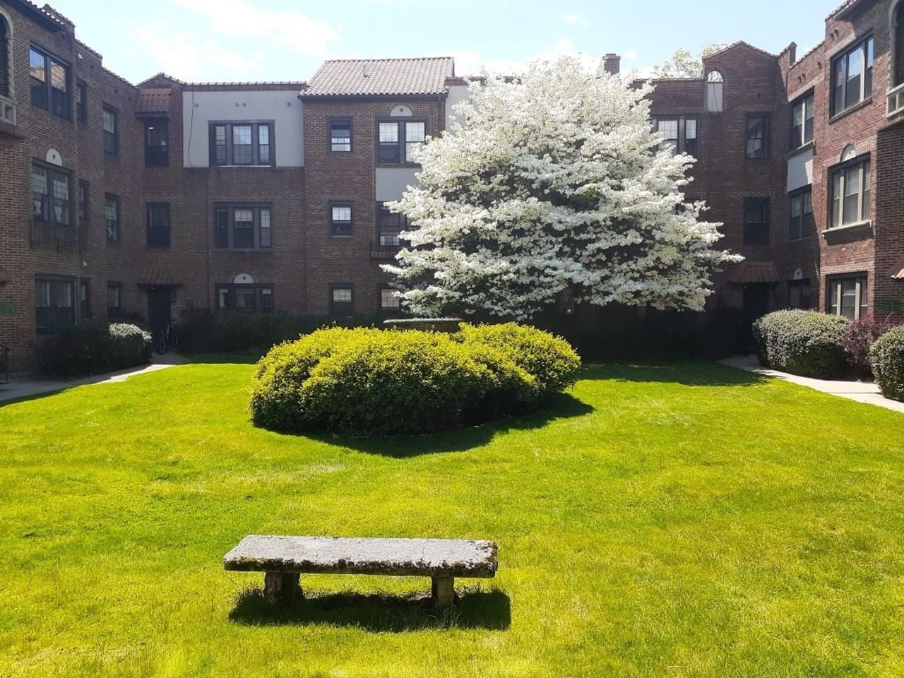 WAYLAND SQUARE REALTY (490)