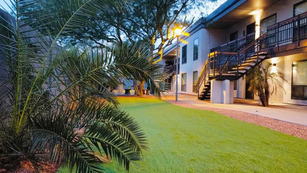 Oasis 17
