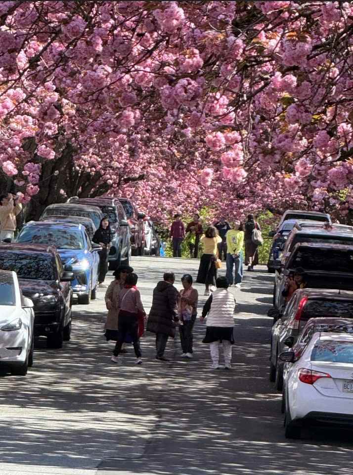 East 7th Avenue, Vancouver, BC V5M 1V5, CAN