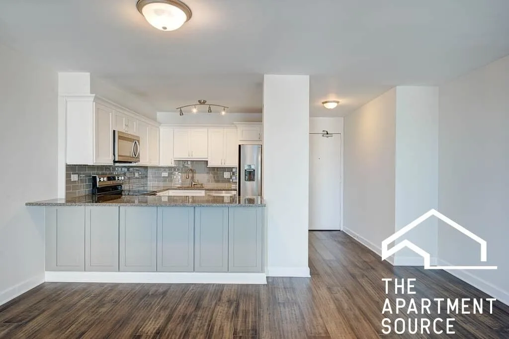 1560 North Sandburg Terrace, Unit 1503