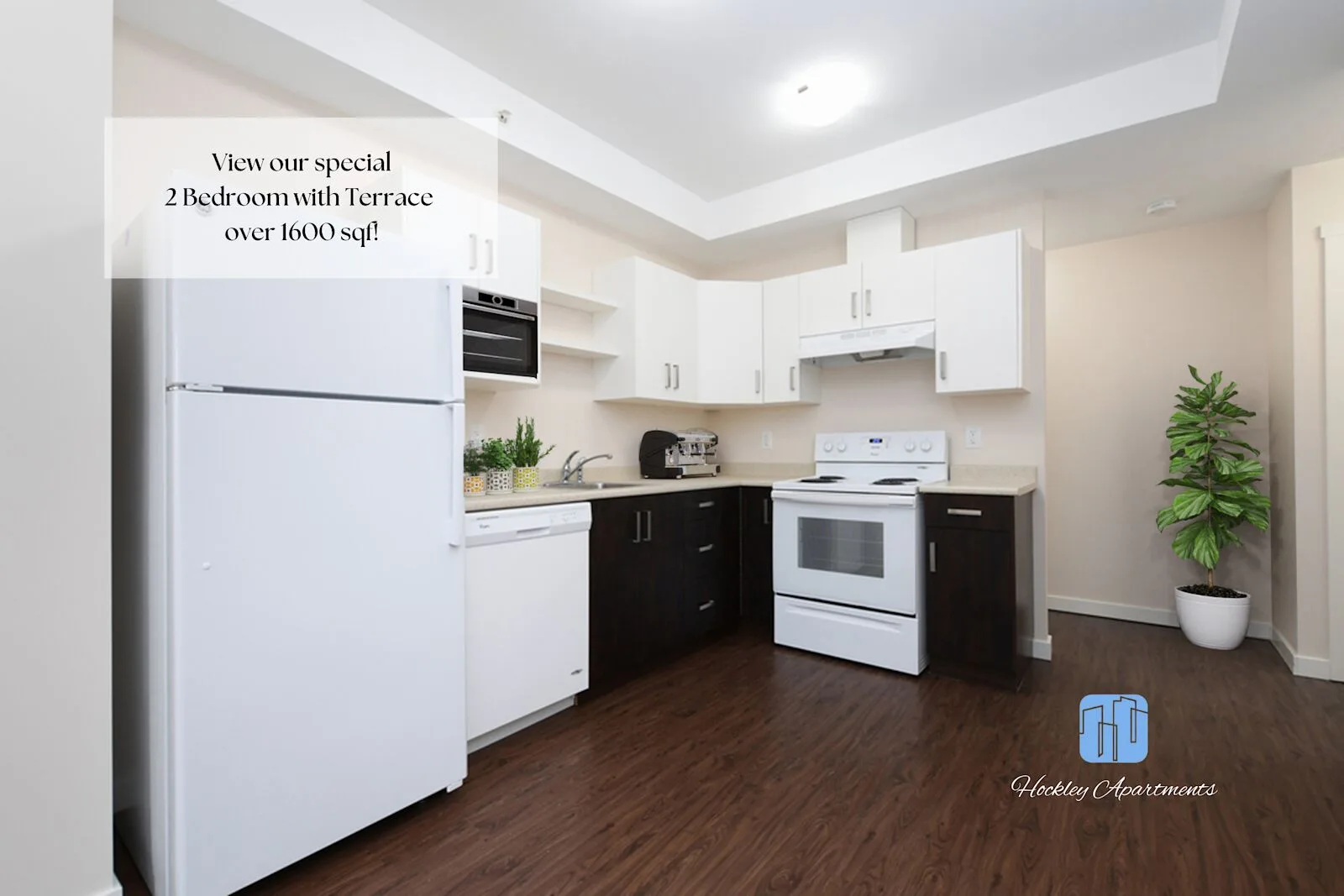 Hockley Apartments