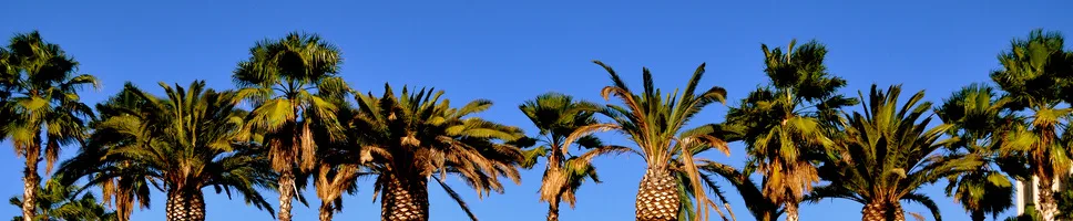 Glendale, CA 91206, USA