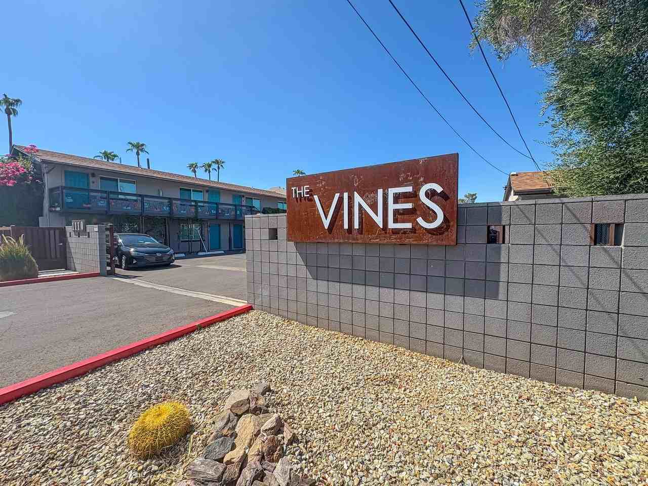 The Vines
