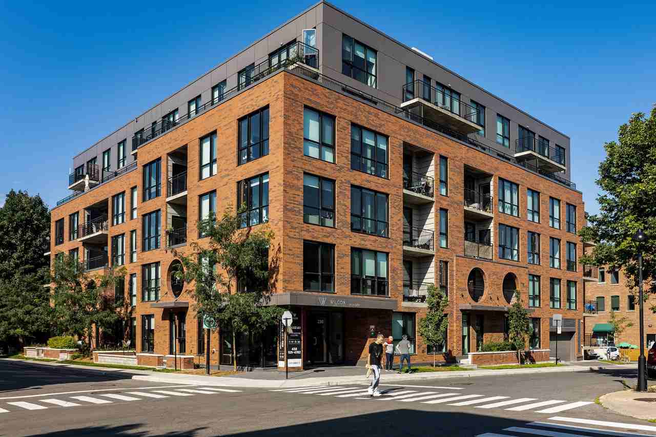 Wilcox - Apartments for rent