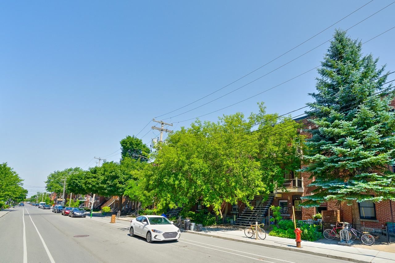 6369 Rue Saint-Dominique, Montréal, QC H2S 1B2, CA