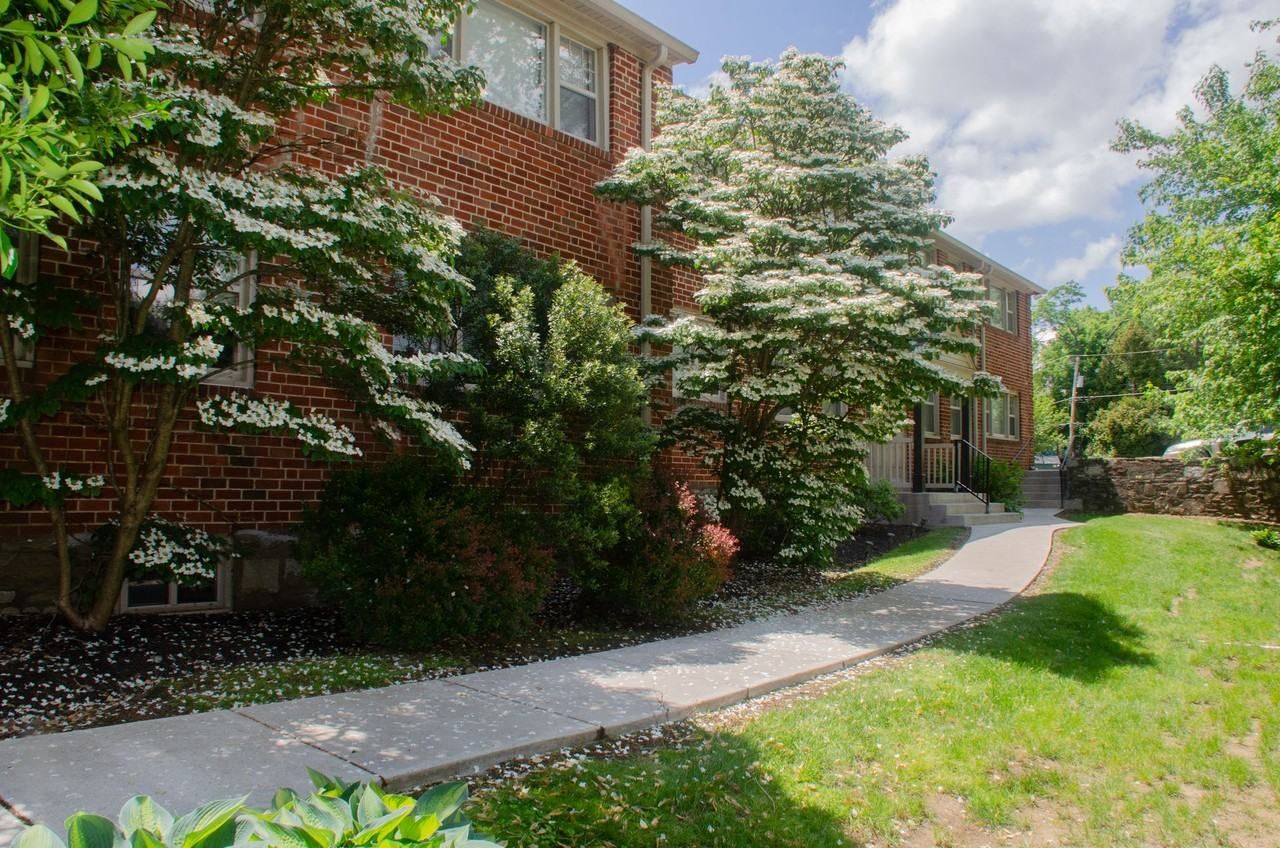 Elkins Park Gardens