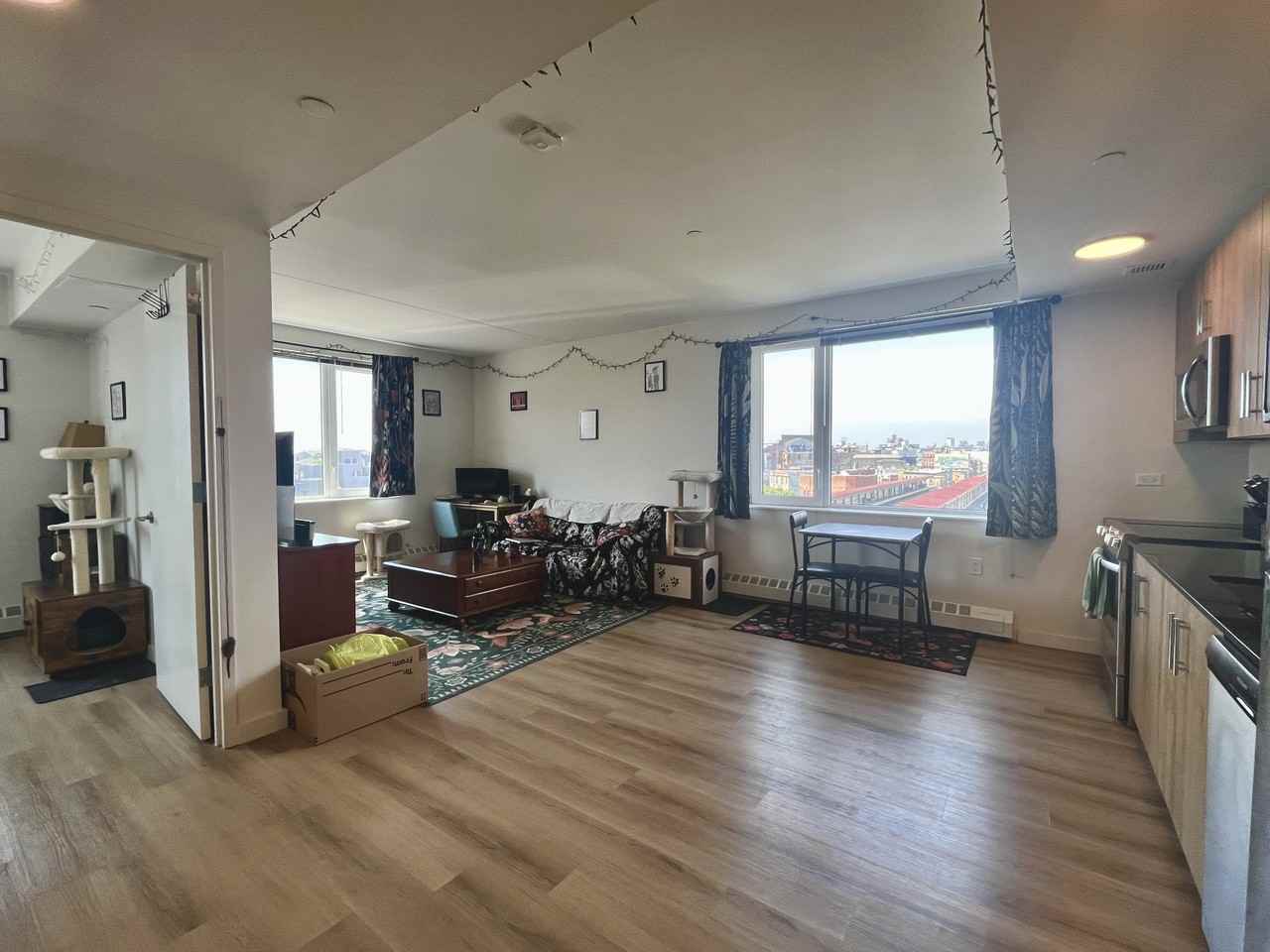 8 Palmetto St, Brooklyn, NY 11221, USA