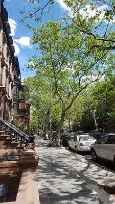 147 Amity St, Brooklyn, NY 11201, USA