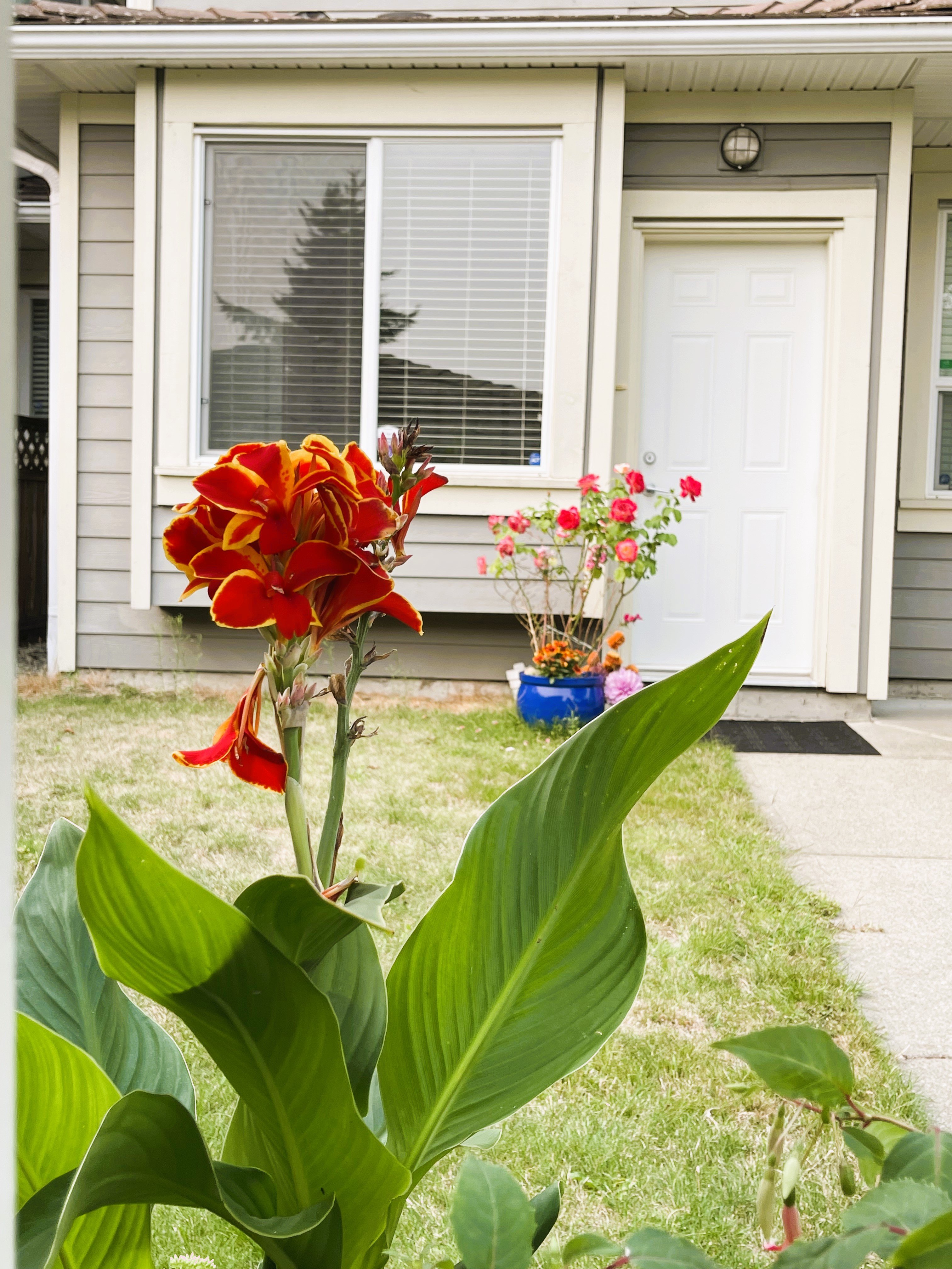 6038 Rumble Street, Burnaby, BC - Duplex for rent