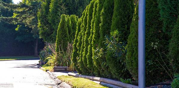 Private decks, 3/BD, In Surrey