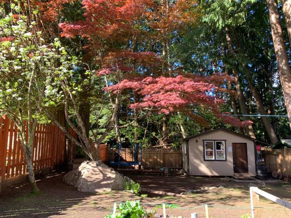 3 Bed + Den Highlands Home | Huge Yard | Studio | Walk to school
