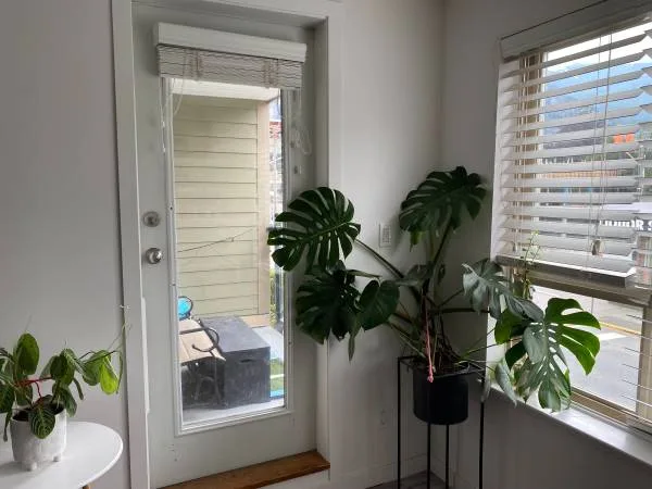 $2325 1bedroom suite downtown squamish