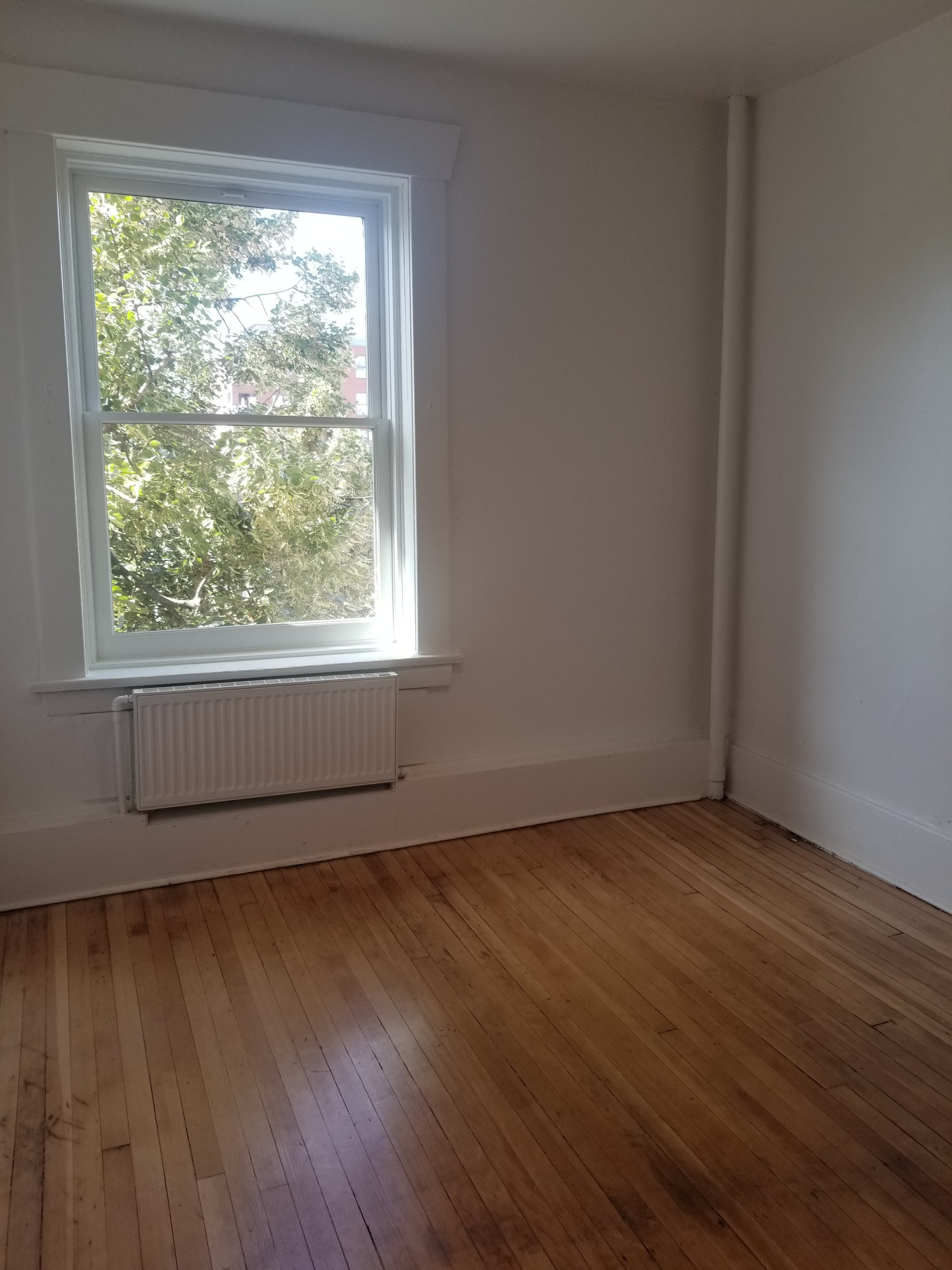 291 East Georgia Street, Vancouver, BC - Room for rent