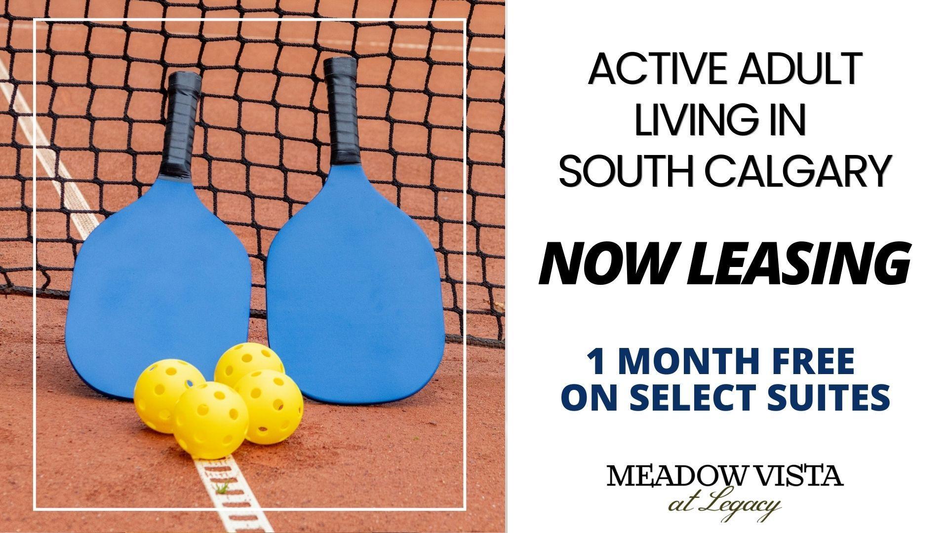 Meadow Vista at Legacy