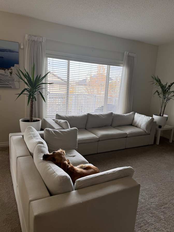 West, Calgary, AB - Room for rent